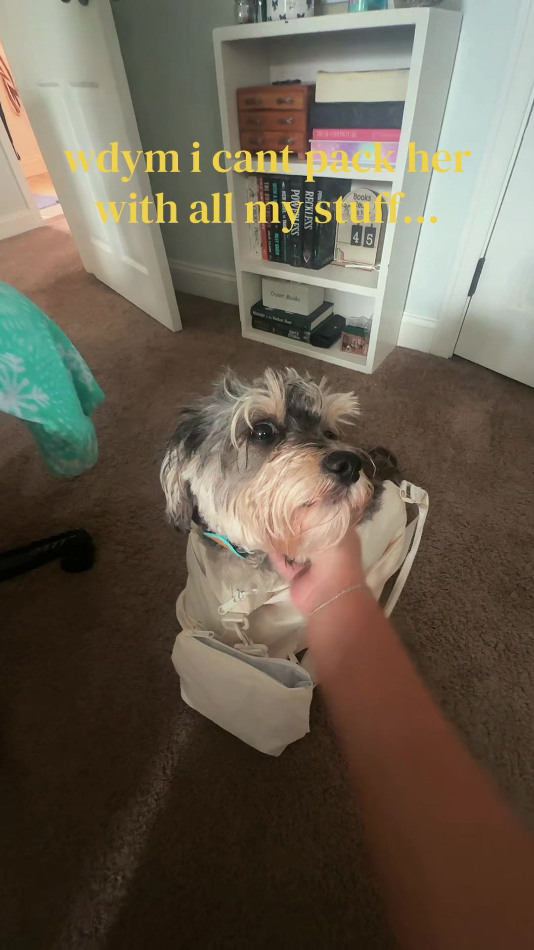 @Riley 🪼🧿🤍