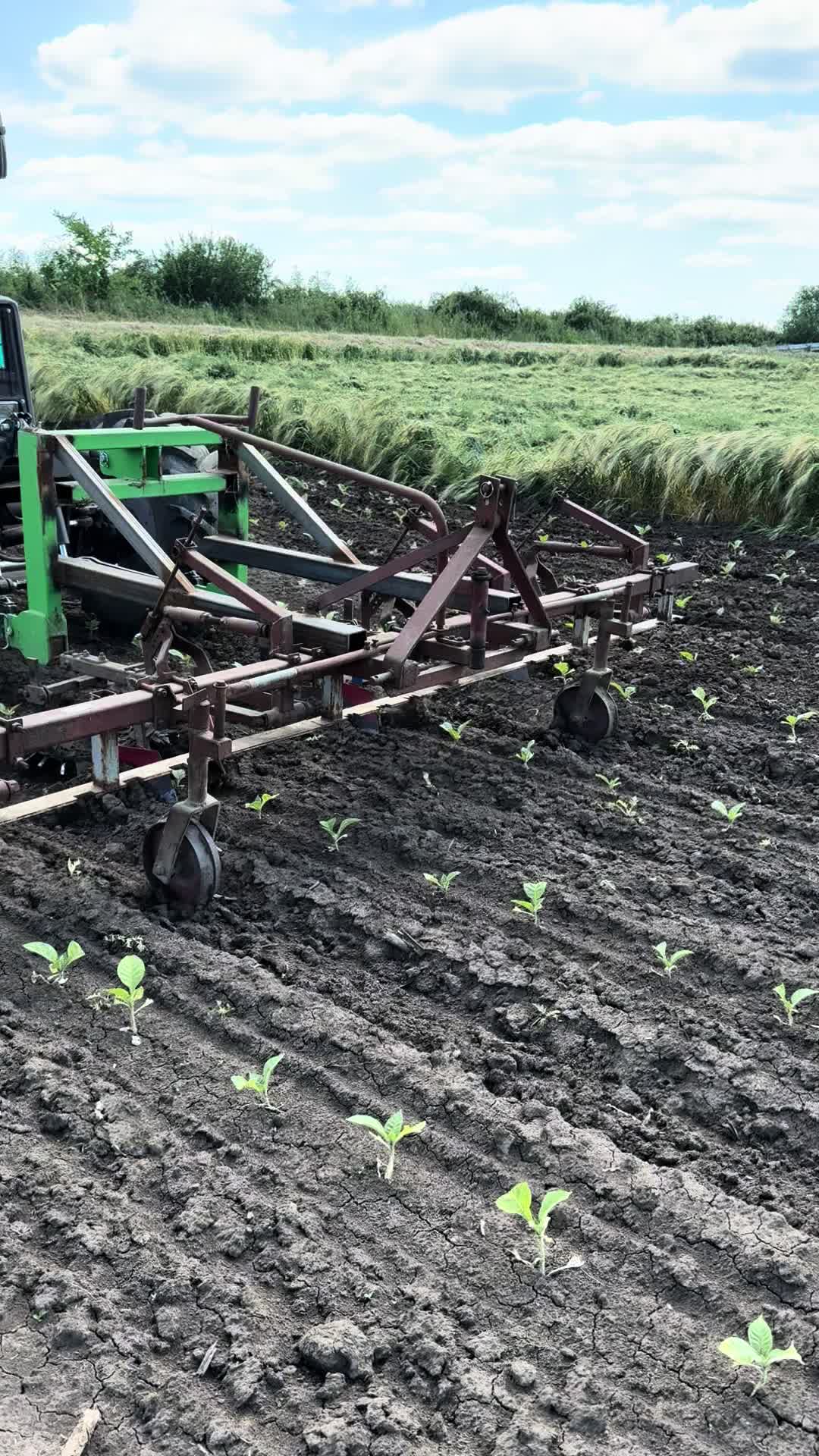 @Agriculture_vojvodina