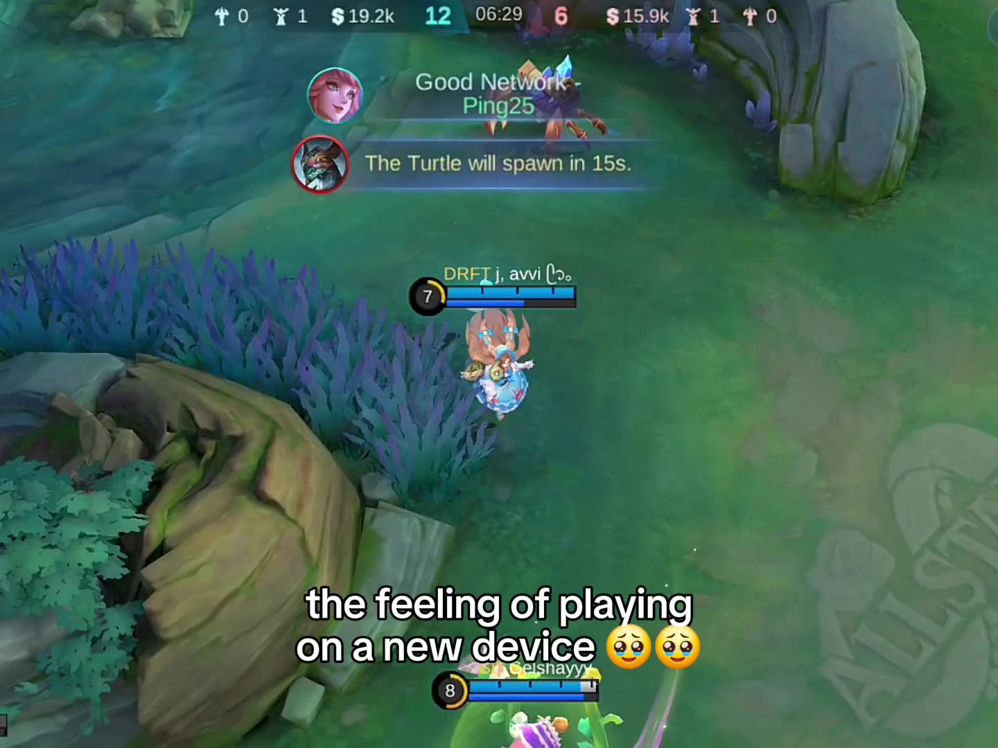 @maple