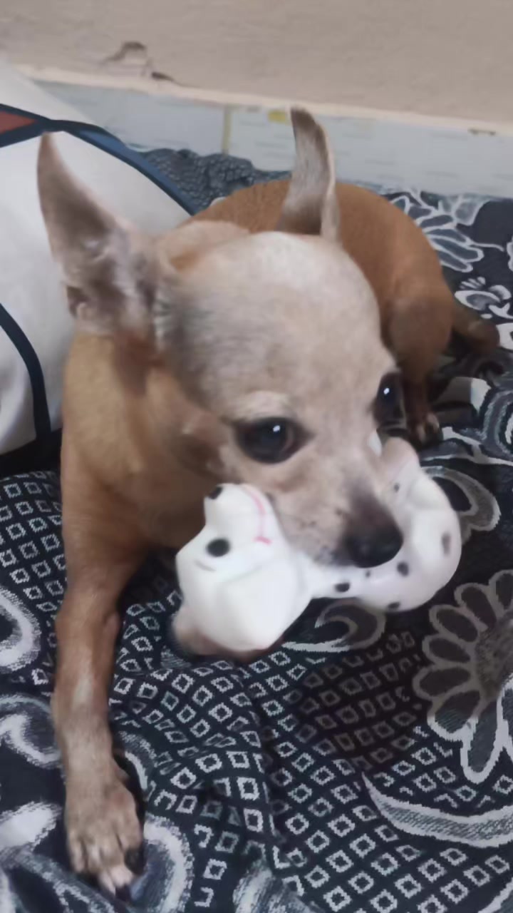 @princesa
