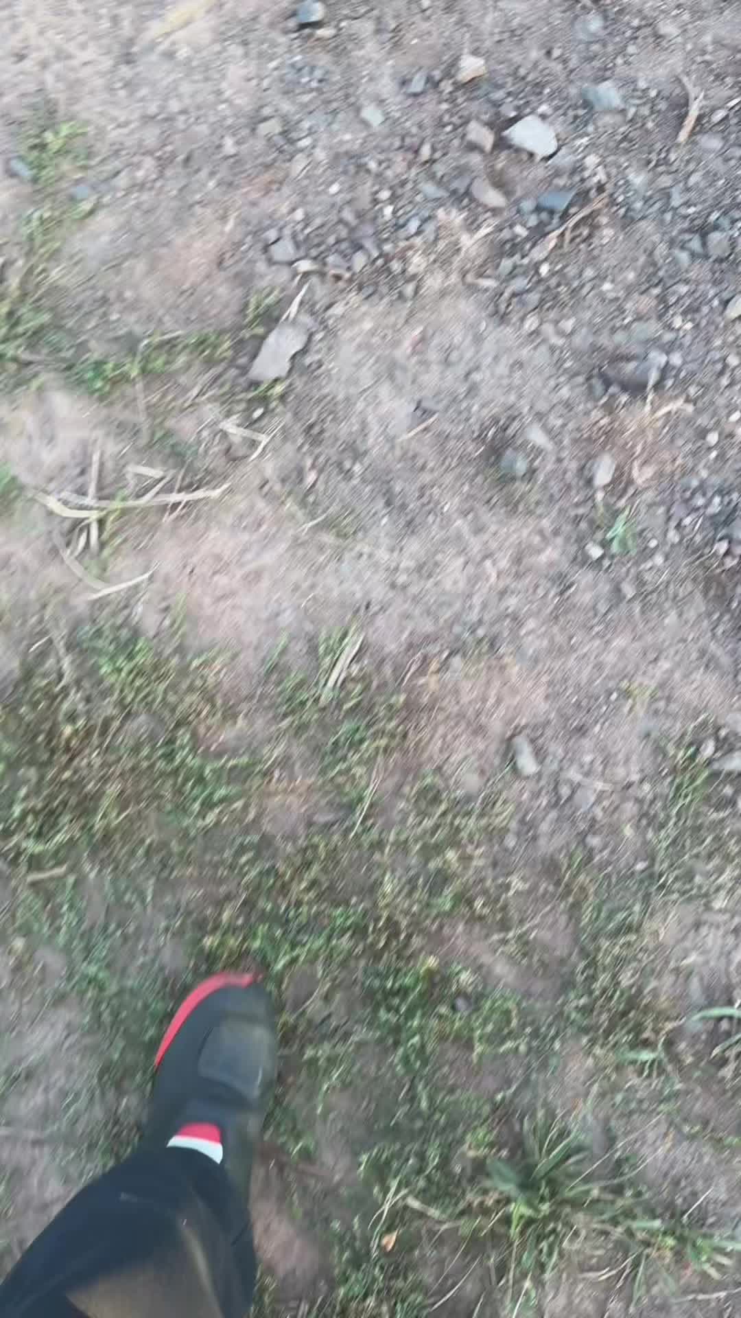 @crainz750