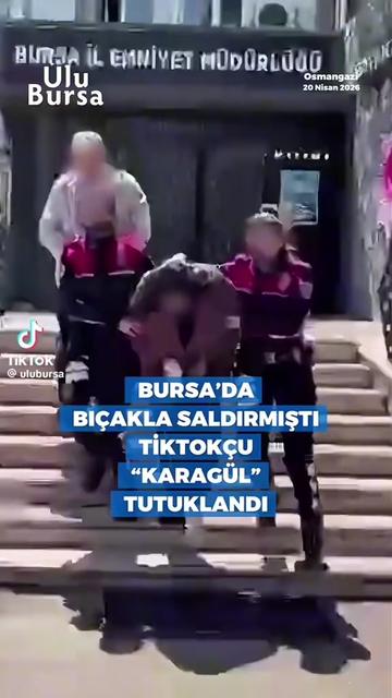 @Volki tolki