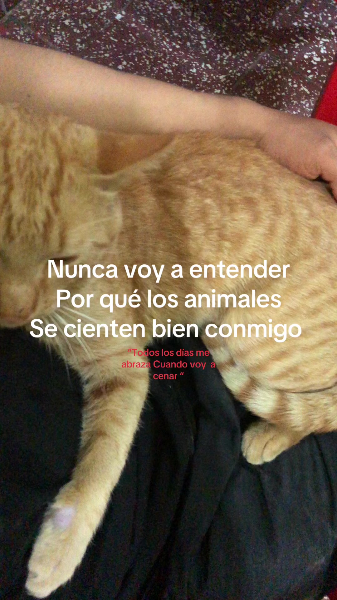 @Pablo_2bleaa
