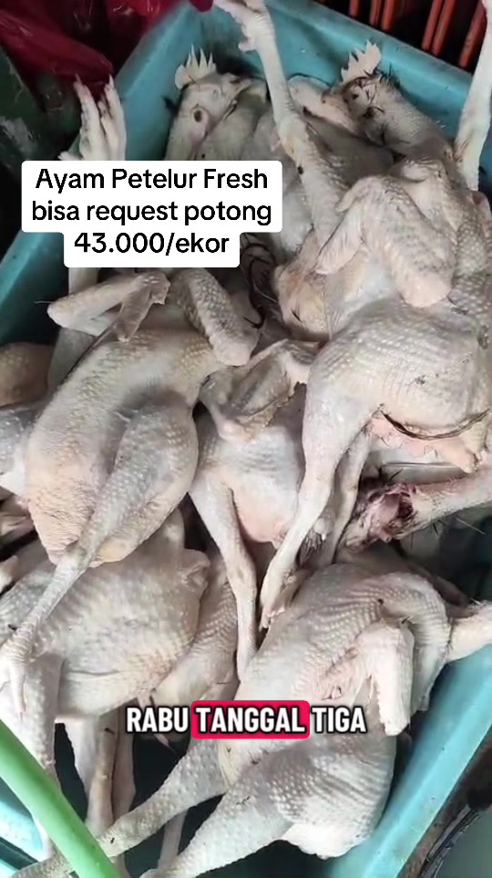 @sinar muda grup