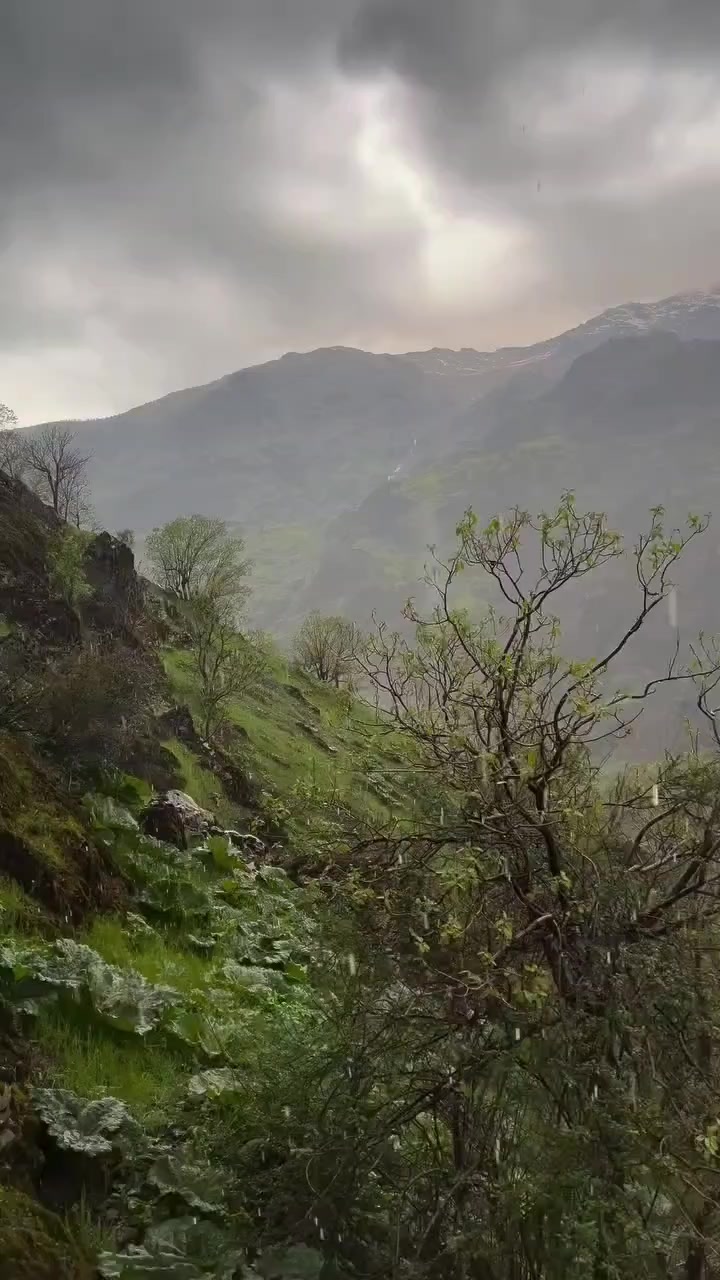 @heja_nheli25📸⛰️