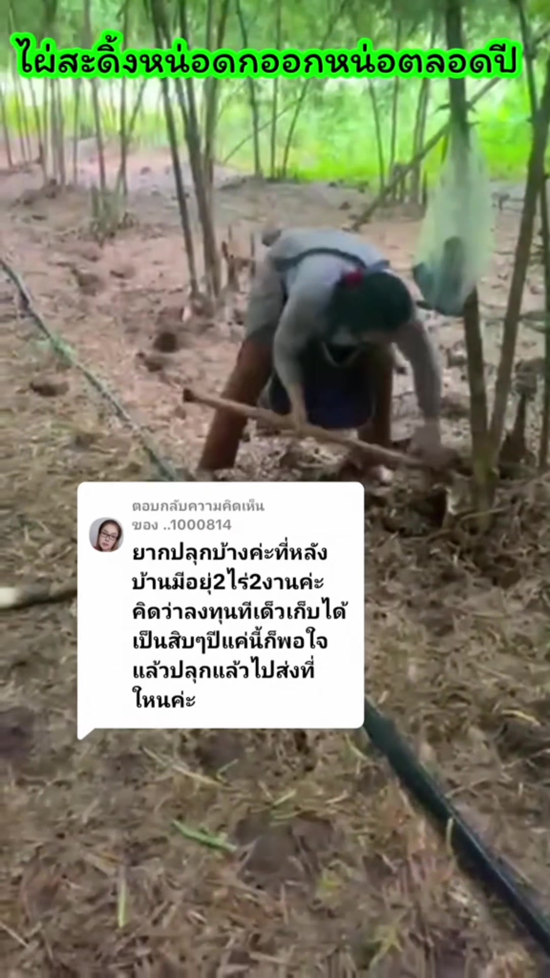 @นัดดาชอป