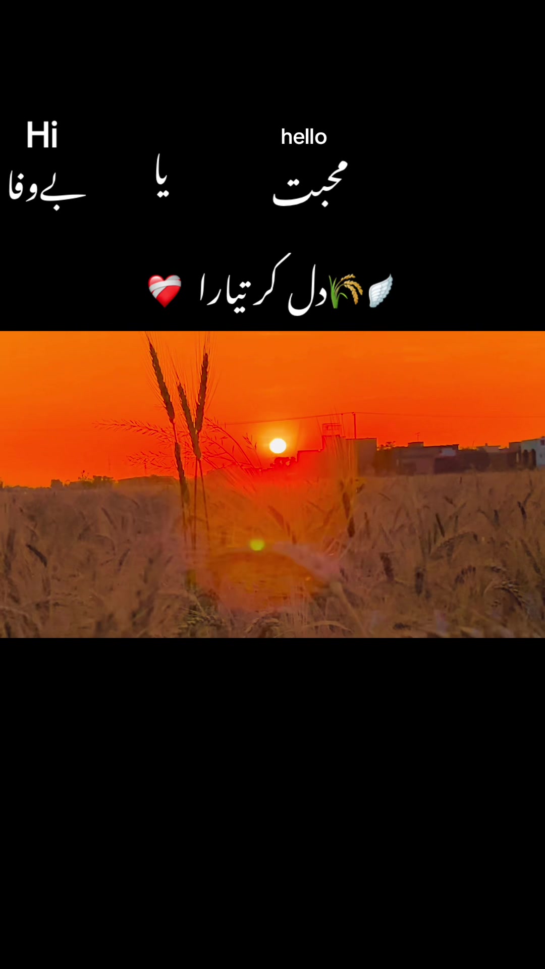 @🥬🎗️پنڈاں آے 🌺