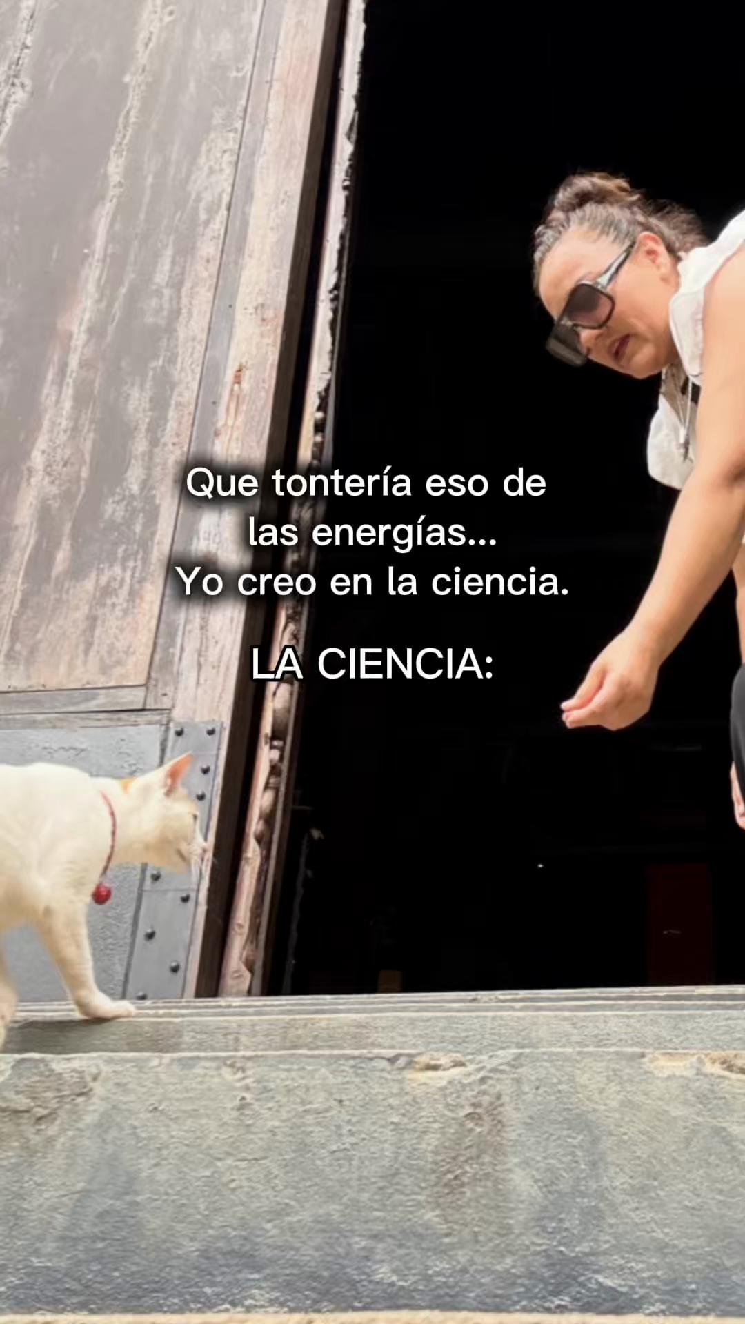 @Lizeee