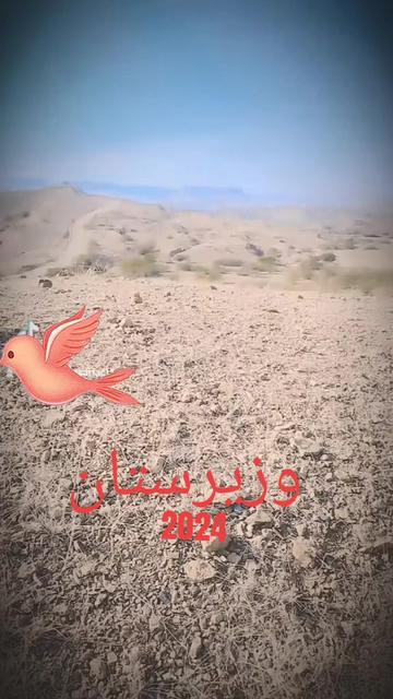 @Hizb Ullah Ansari 09977