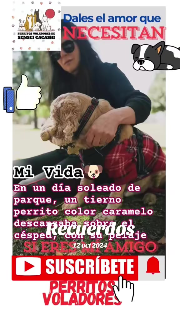 @Perritos Voladores