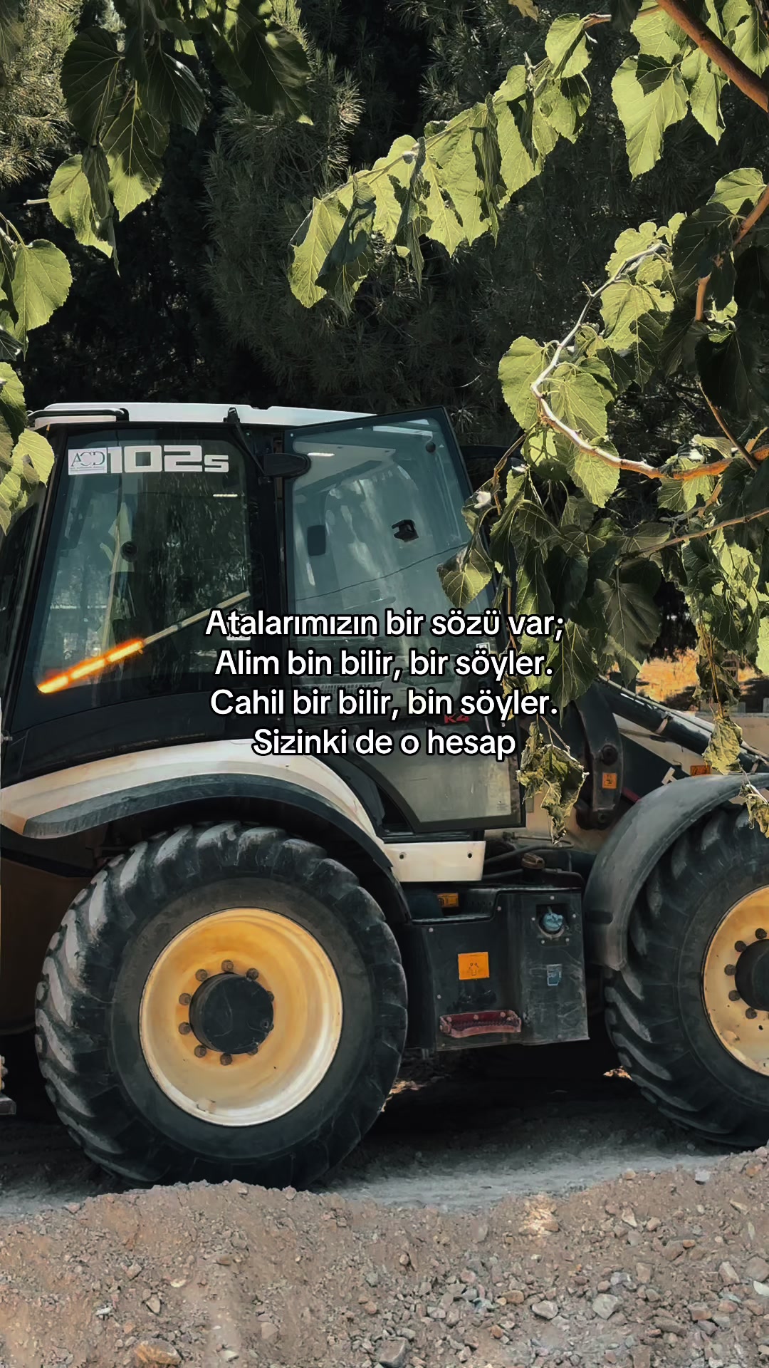 @İbrahim 🐅