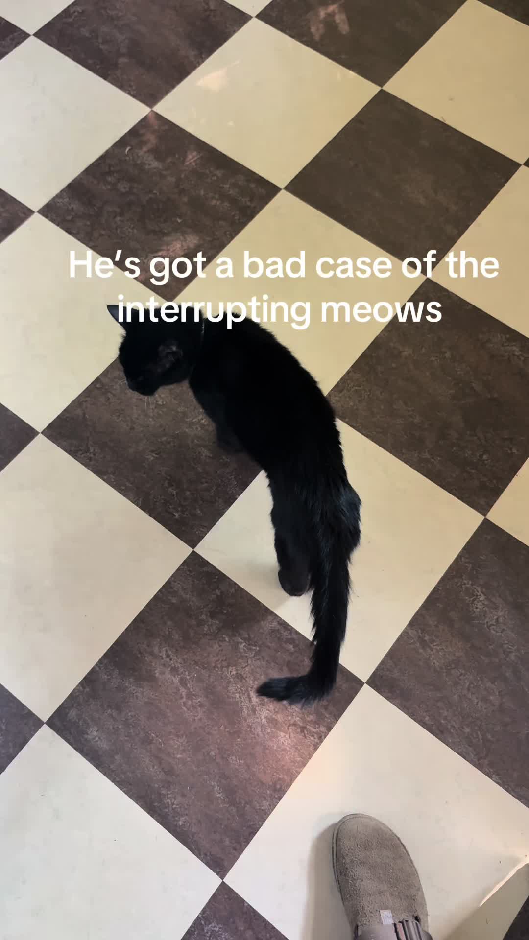 @Jay