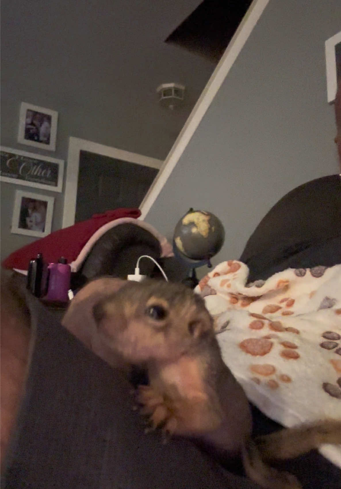 @Squirrel Guy