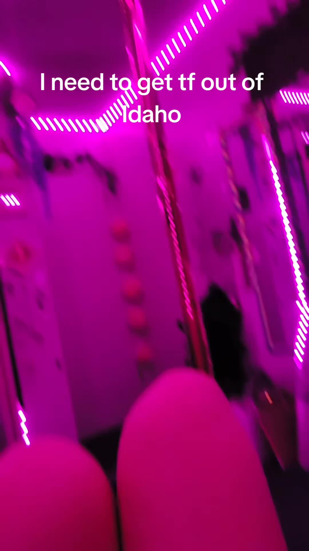 @uwu