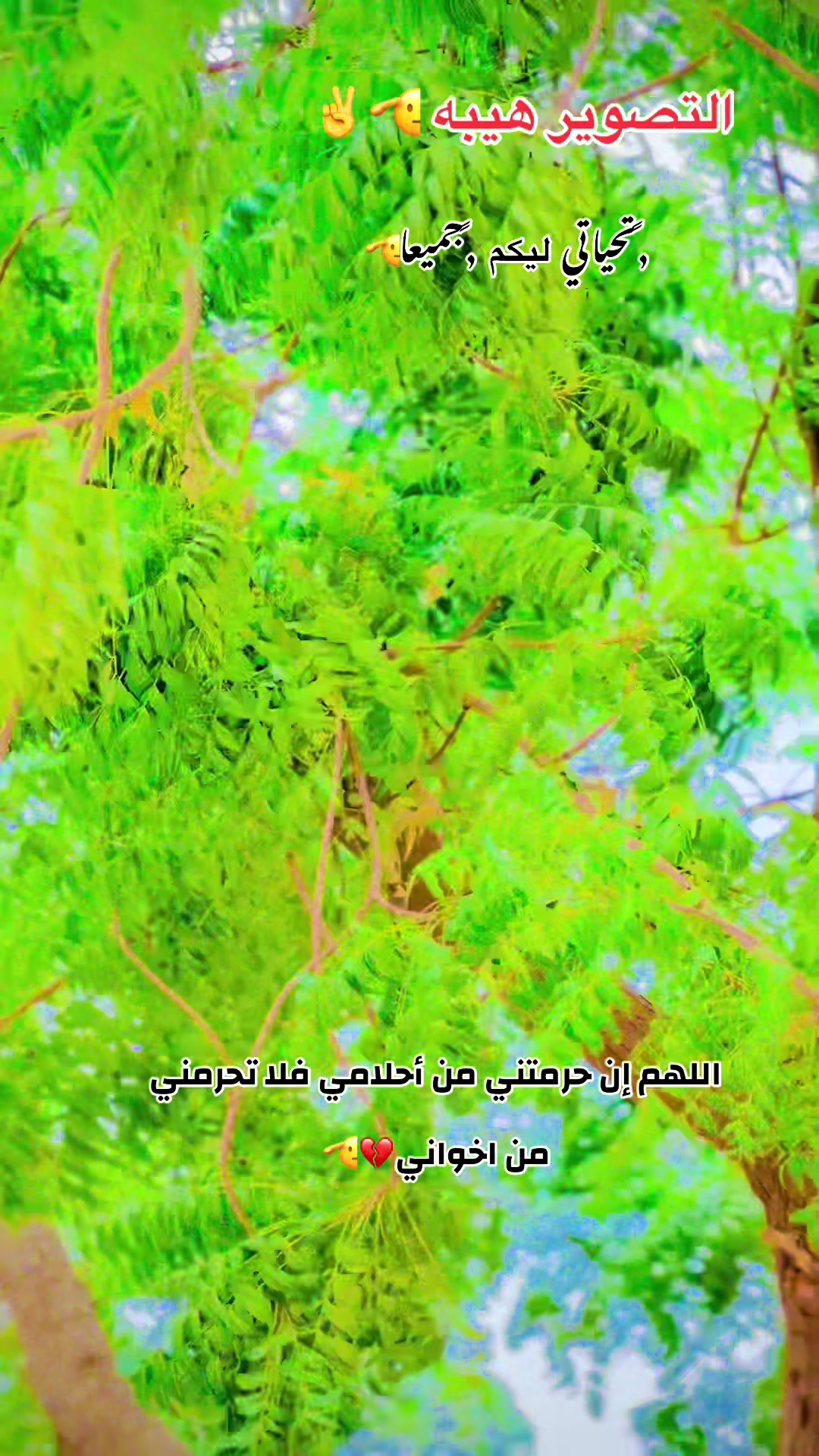@,ٓاخو ,ٓعموري 