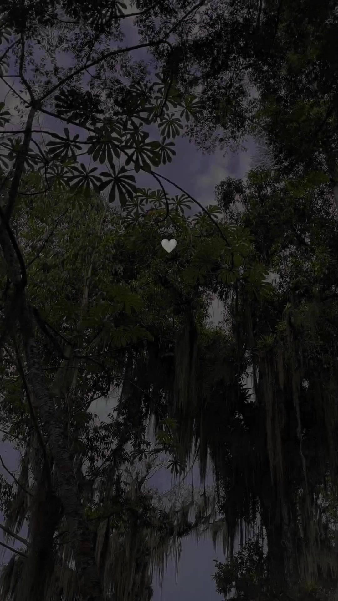 @Carol