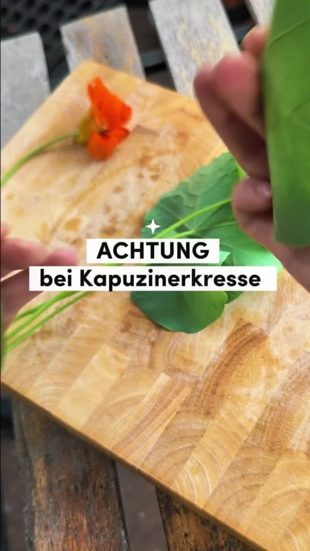 @ErnteExperte