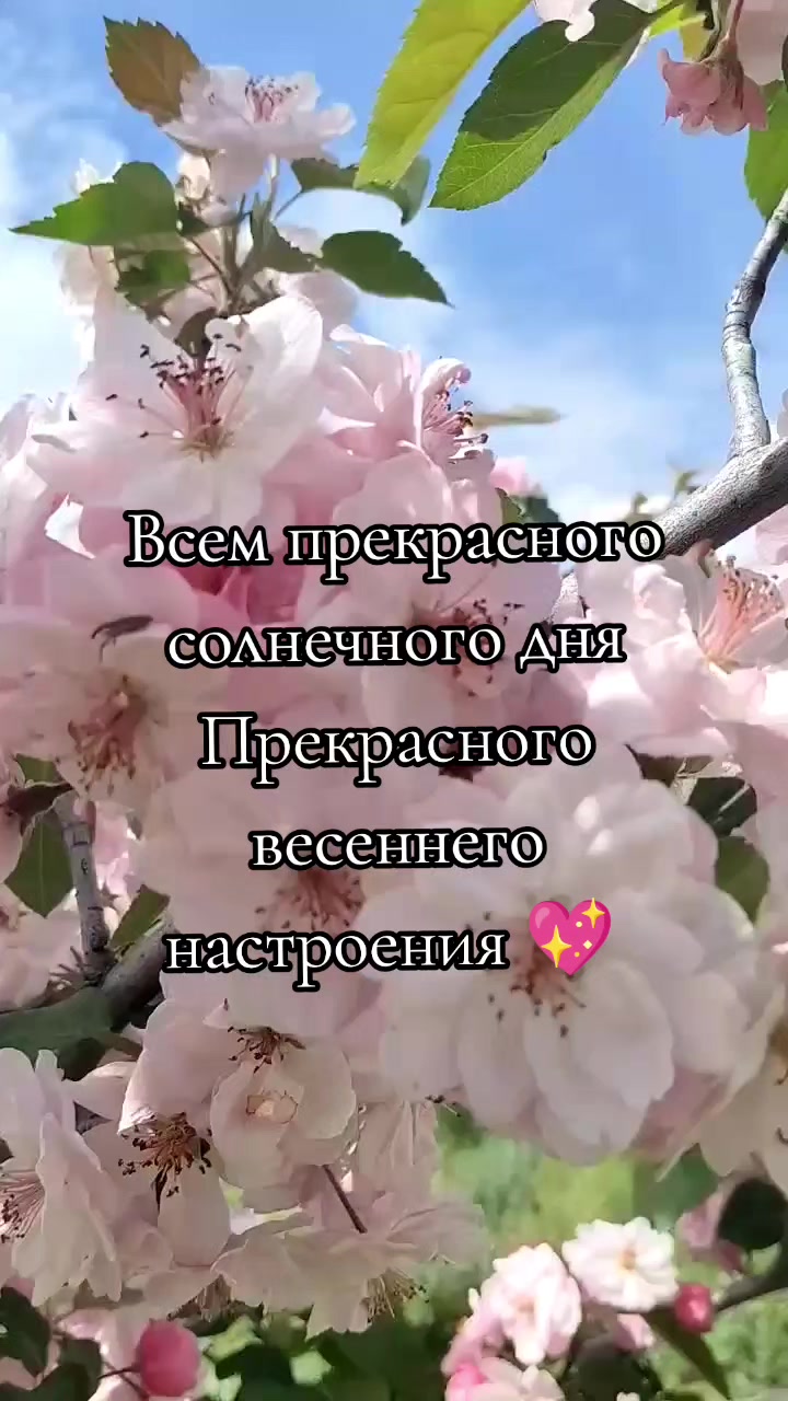 @♥️МАЛЕНЬКАЯ ♥️