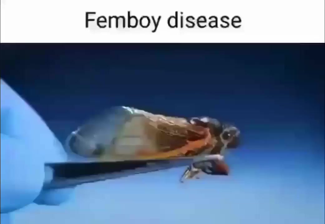 @FoxShot2000