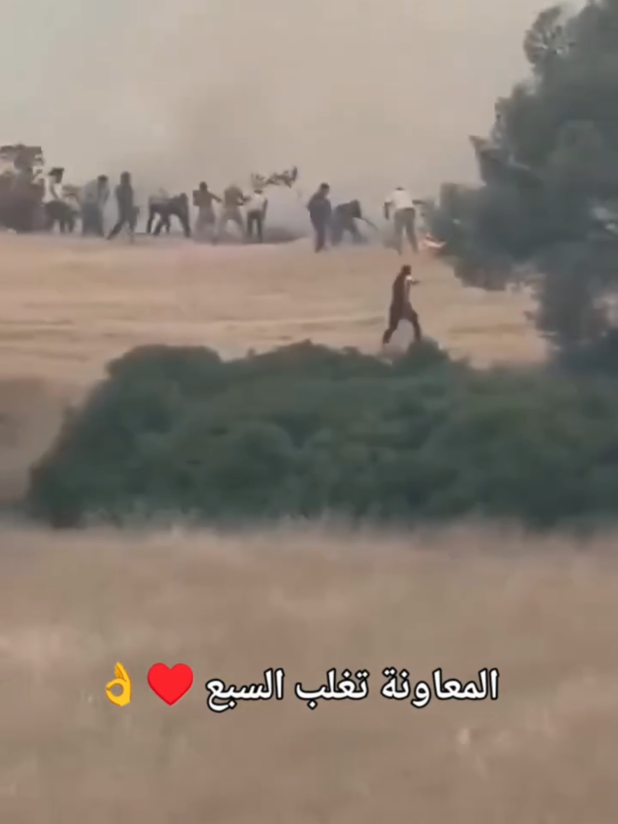 @مُسْـ☪ـلـم | 𝑴𝑼𝑺𝑳𝑰𝑴  ✪