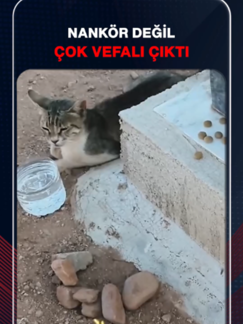 @Sabah