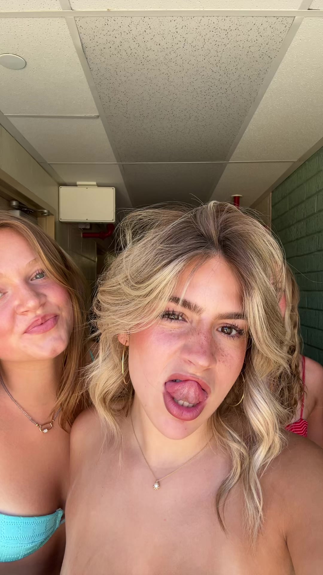 @ainsley_rolls