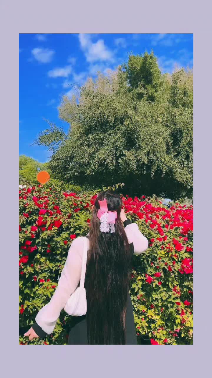 @Dallu🫀🫶🕊️