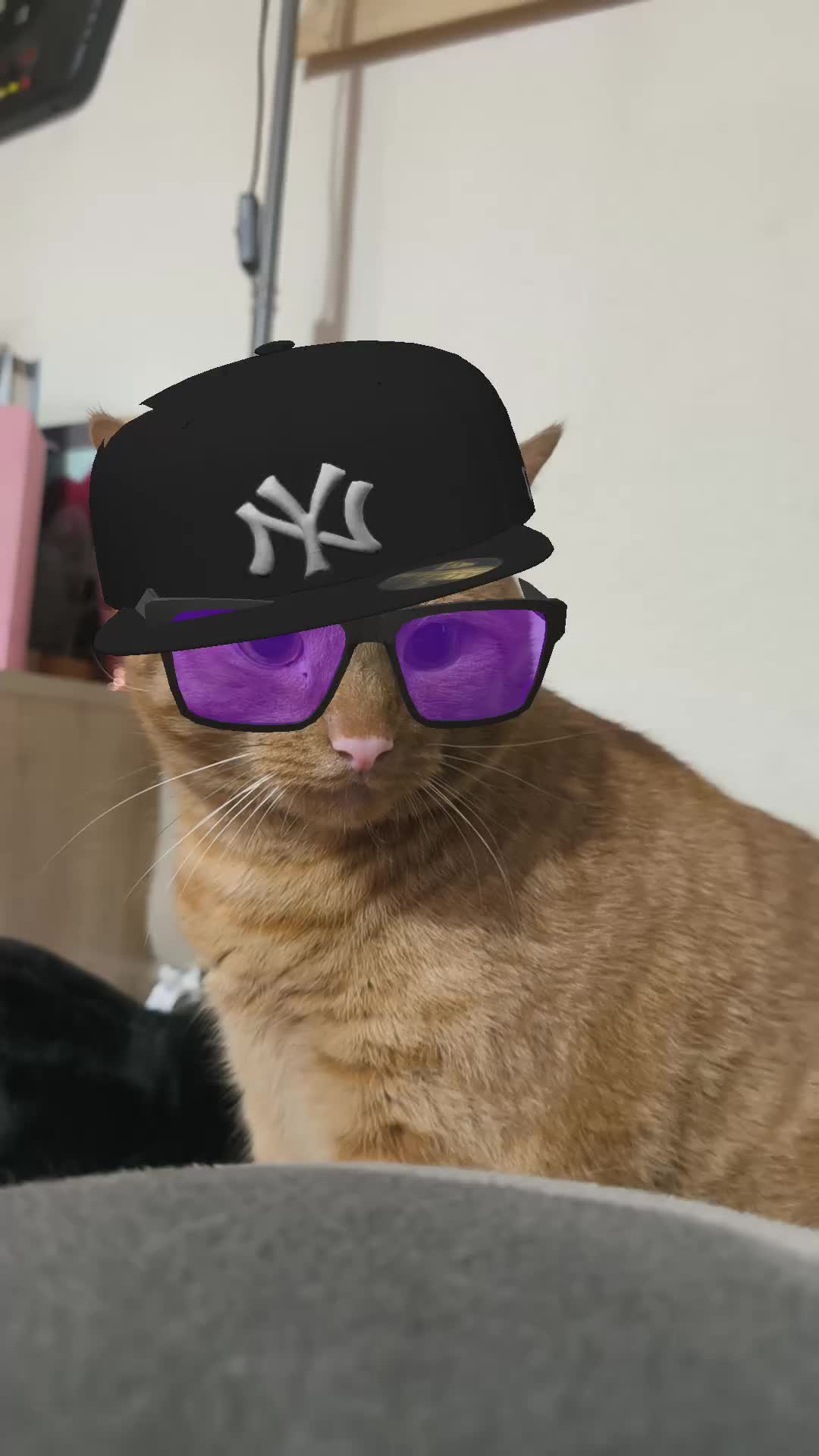 @꧁ Ɱ₳☈I✪Ň ꧂