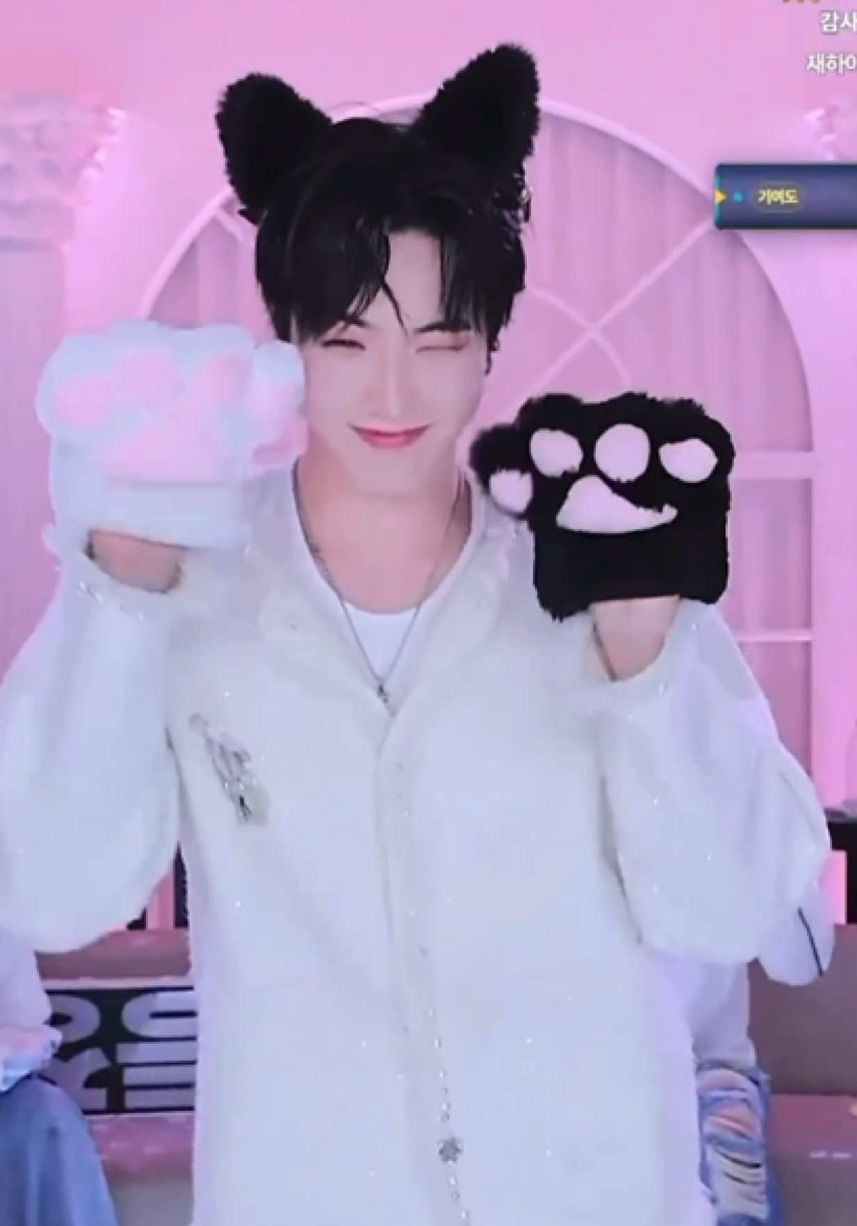 @🐺PUPPY🐳