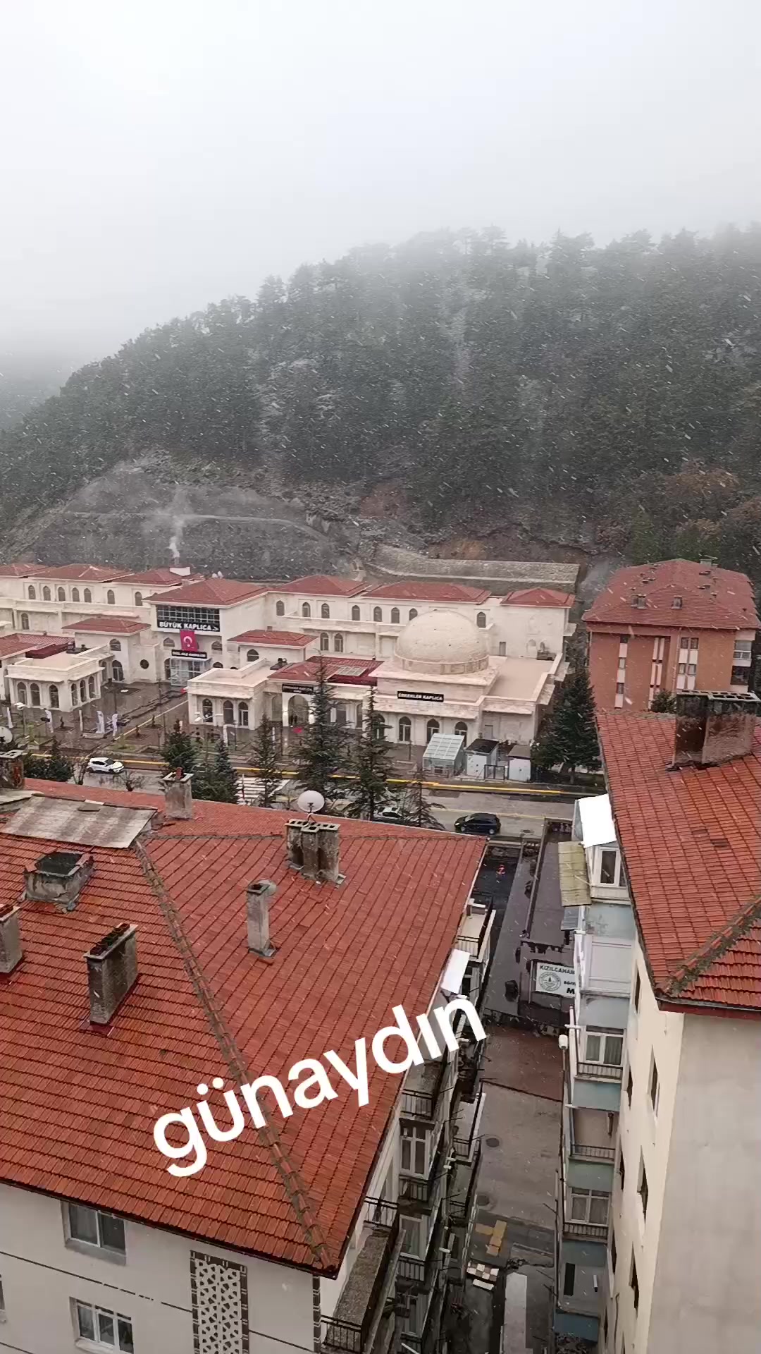@zalimin kızı 06