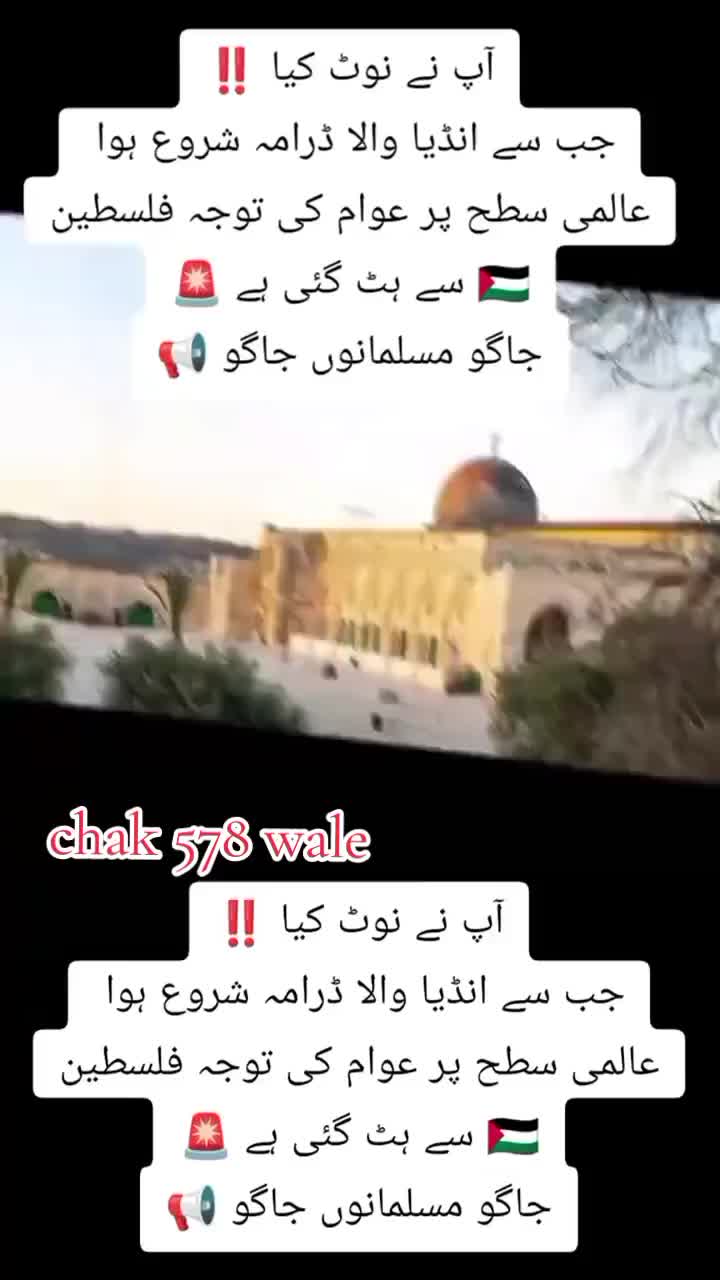 @shafqat Ali 4