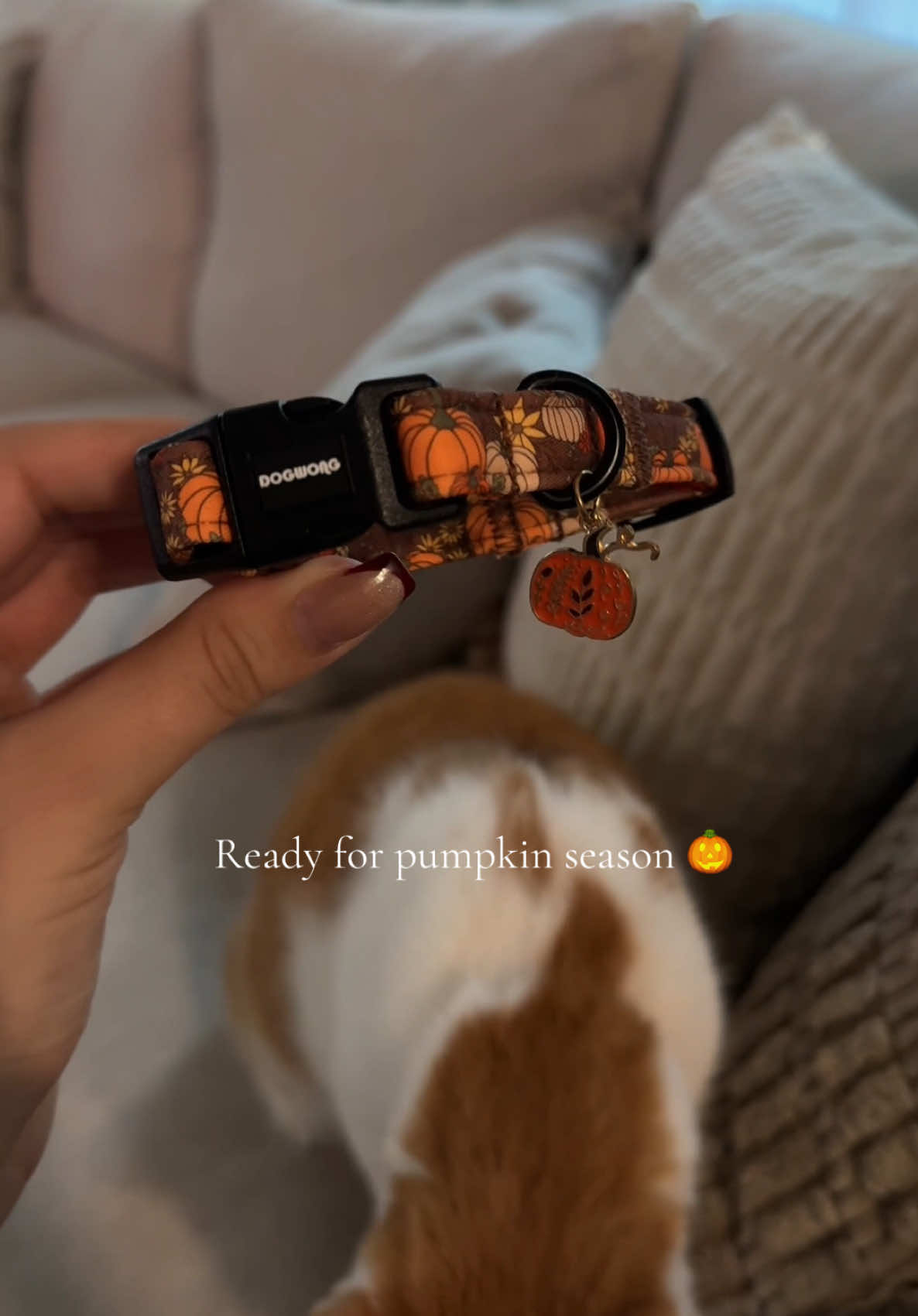@Nikole✨
