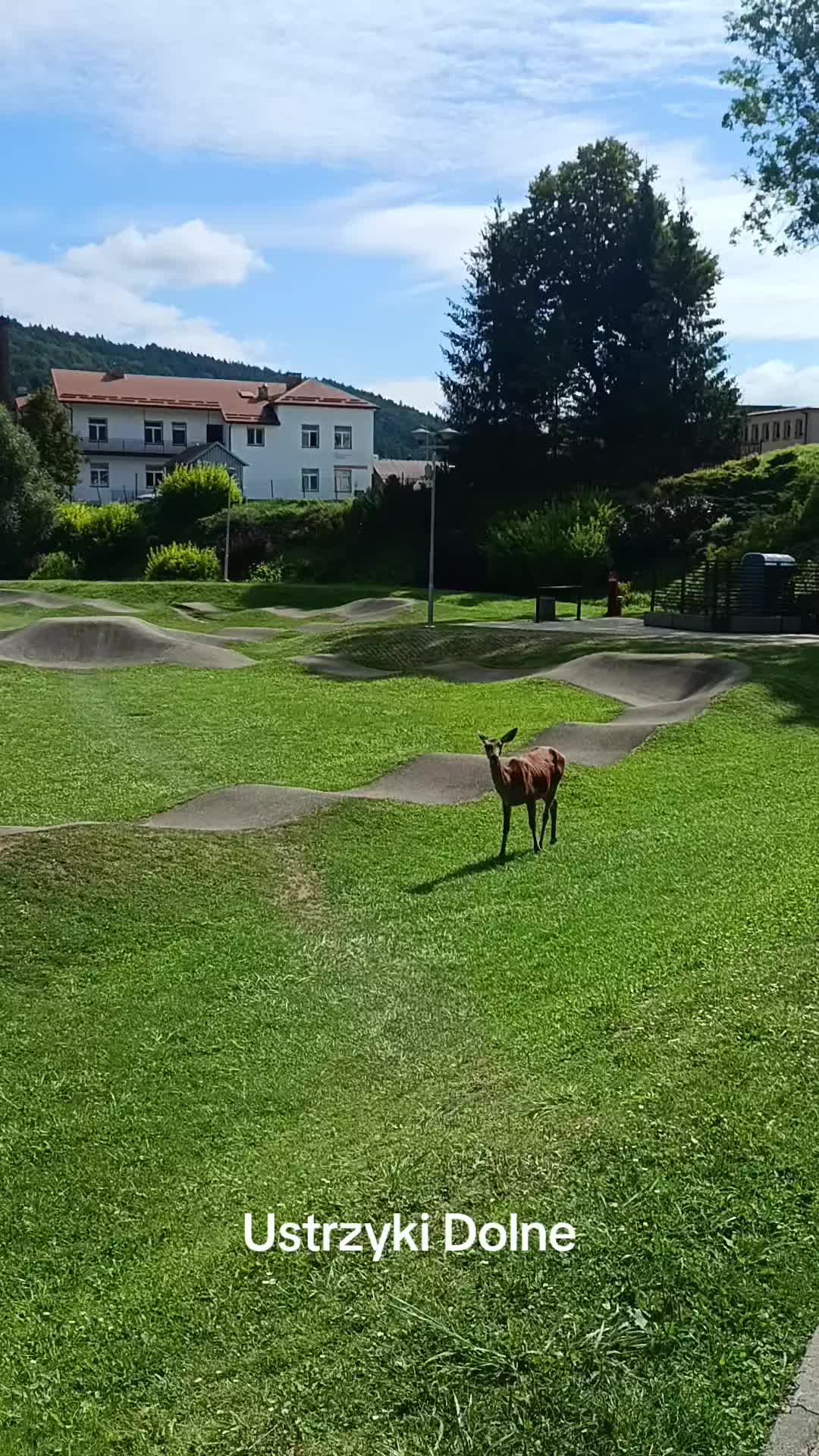 @smakowitewędrówki