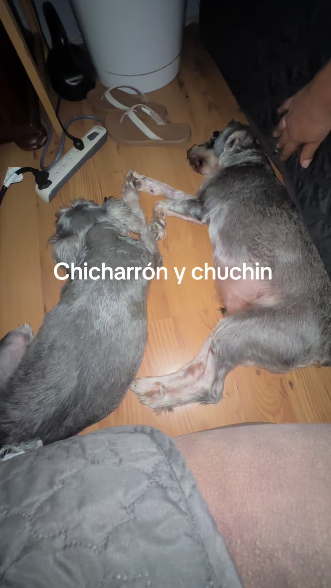 @Elcharitoopemex