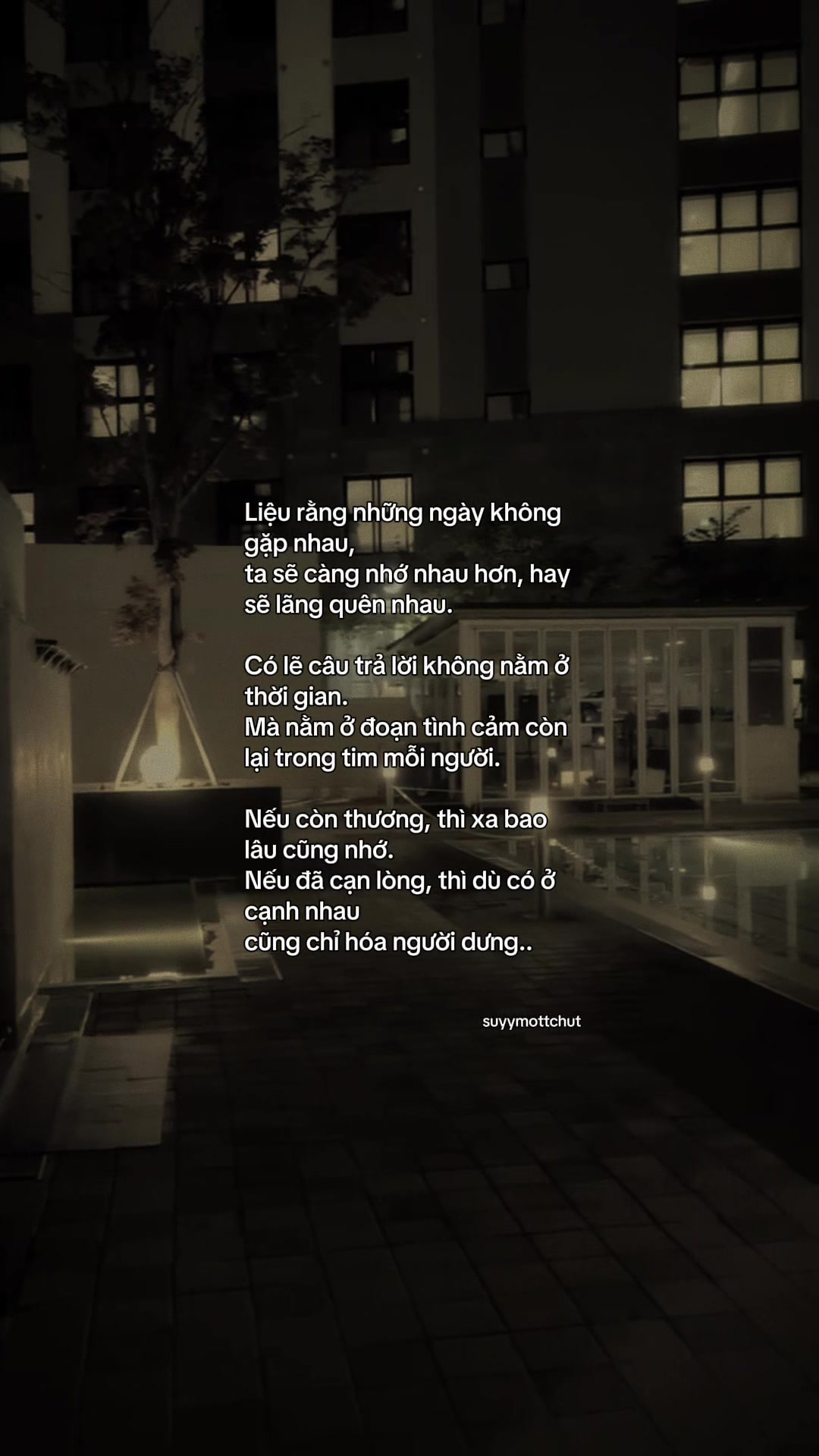 @ᥫᩣѕυy мộт cнúт౨ৎ