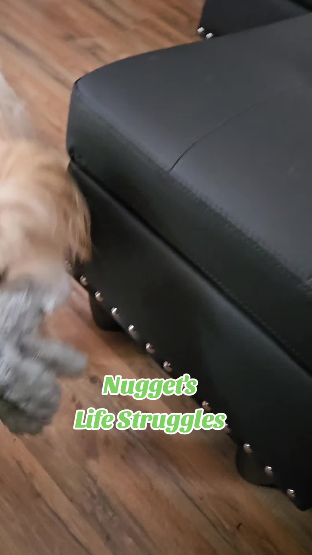 @Red