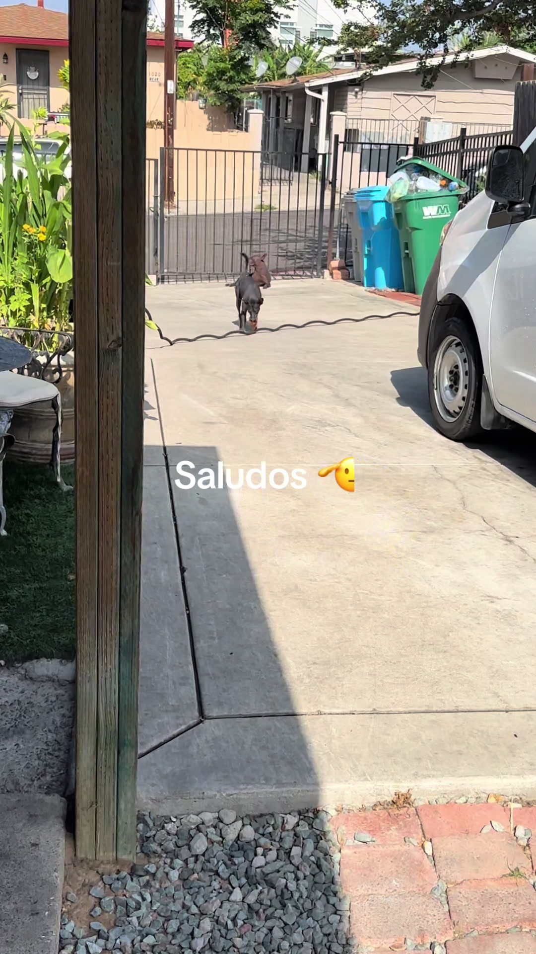 @Elcharitoopemex
