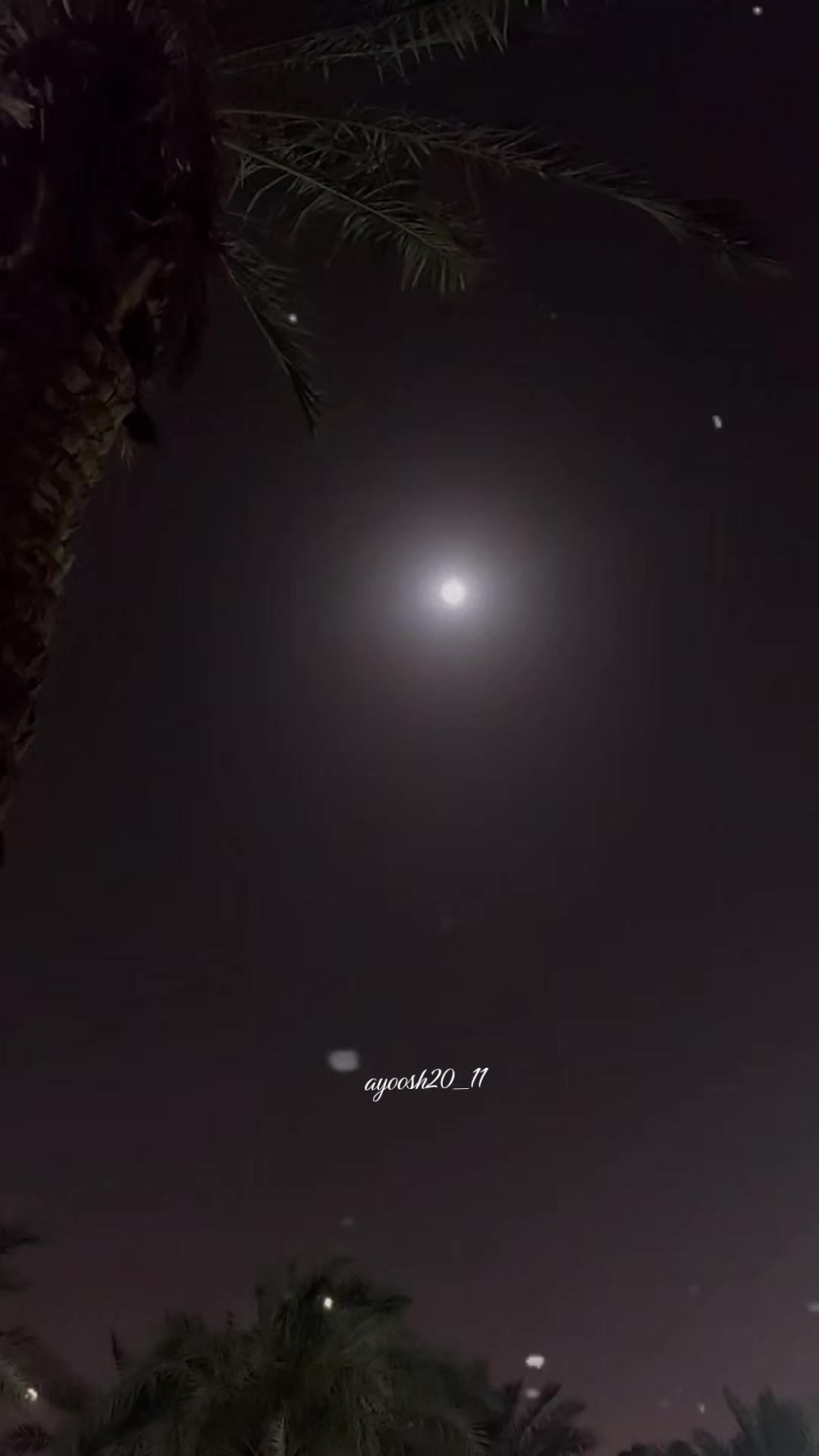 @عيوشي
