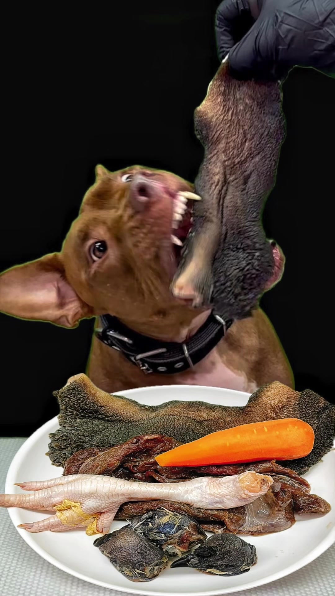 @バウンス　チャンネル