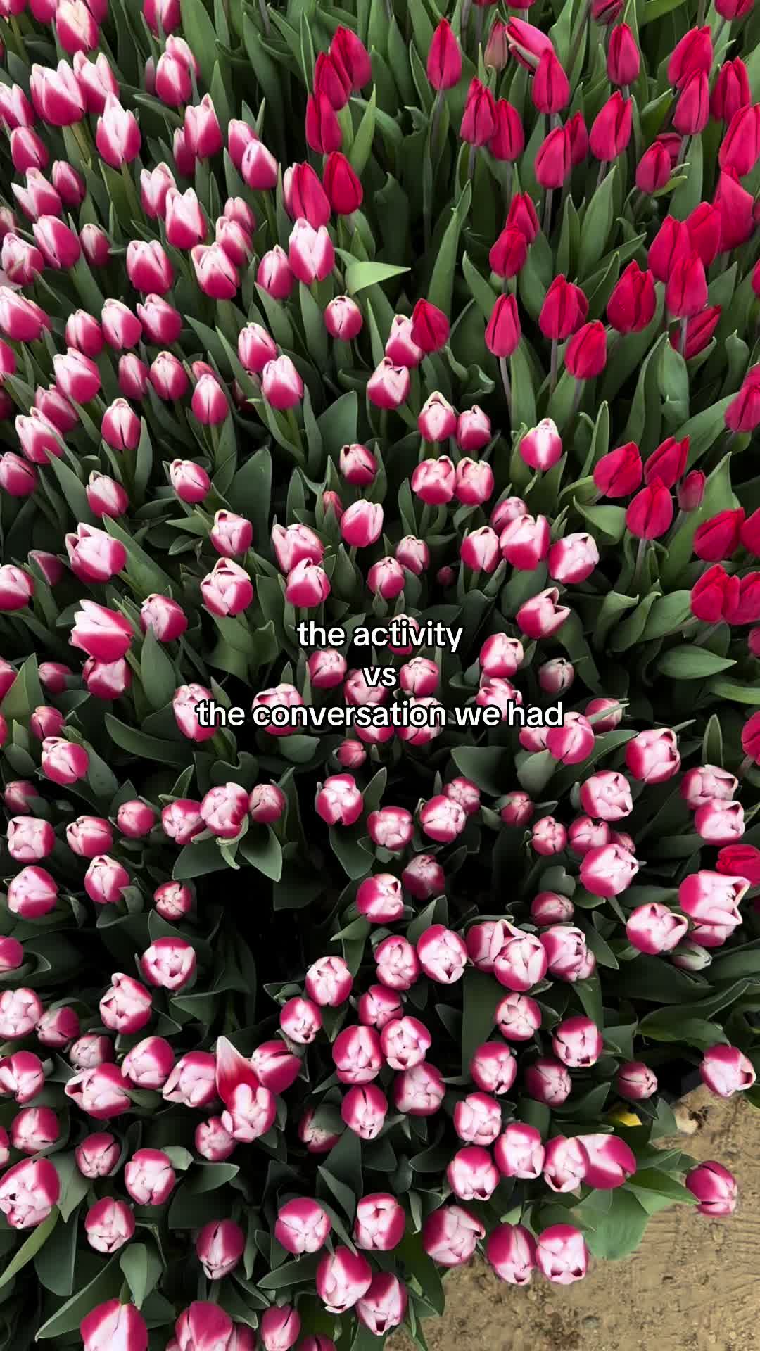 @OT ★