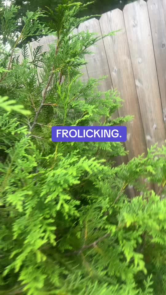 @Mary Travers