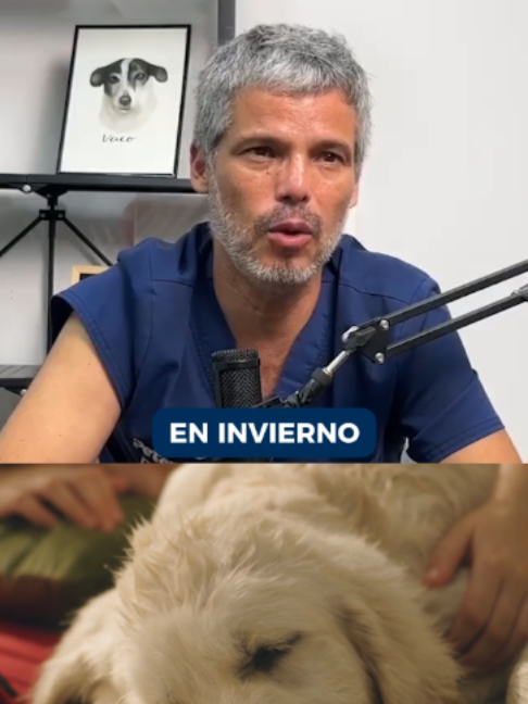 @Pancho Cavero