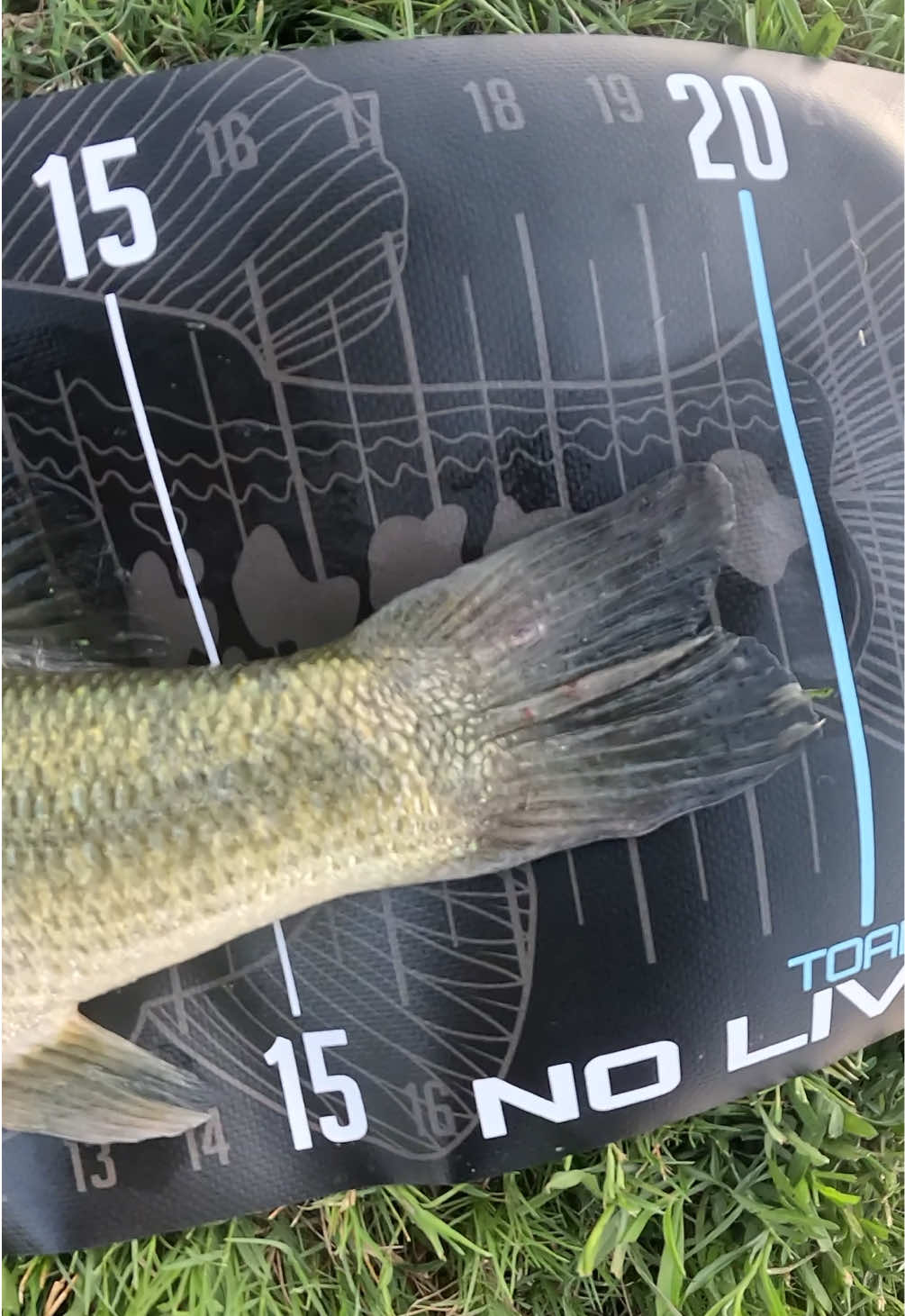 @TEXA$ WILD BOY🎣