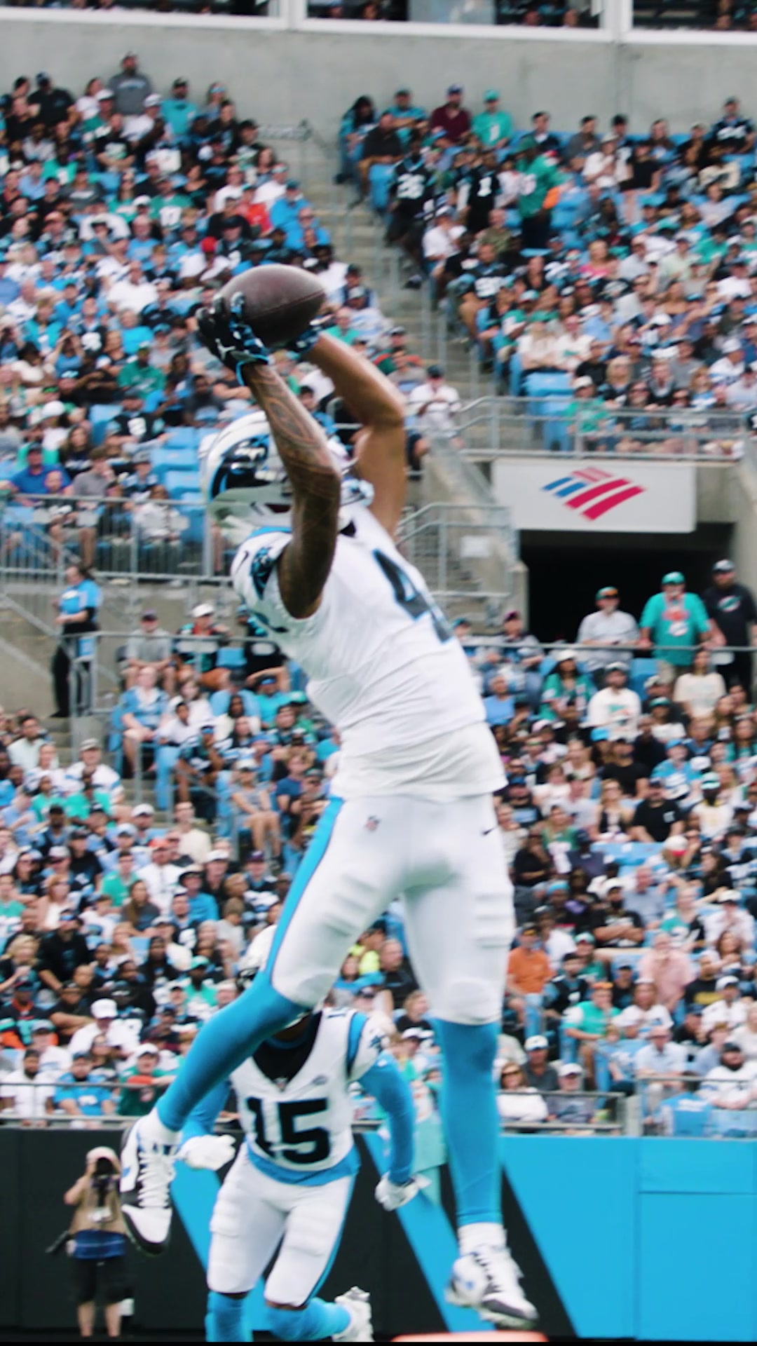 @Carolina Panthers