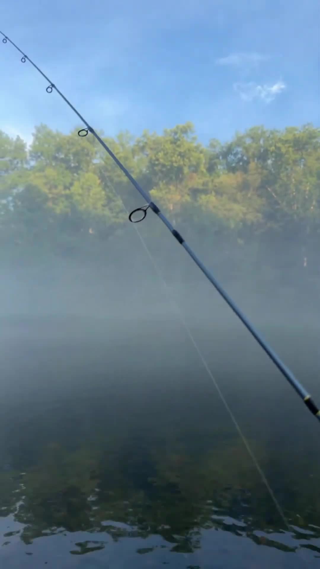 @LOVELACE 🎣