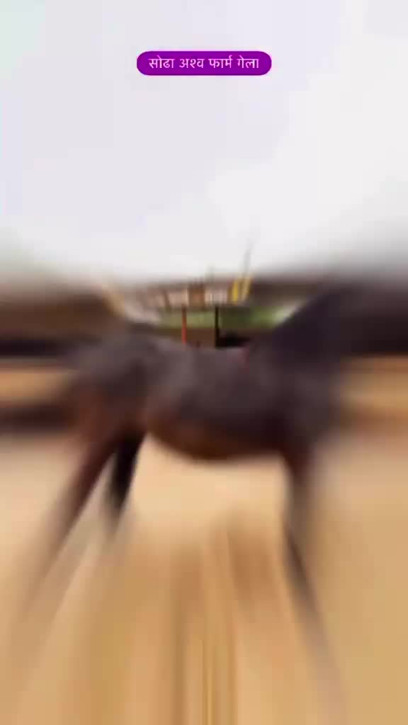 @vishal Patel 🐎 🐎 🐎