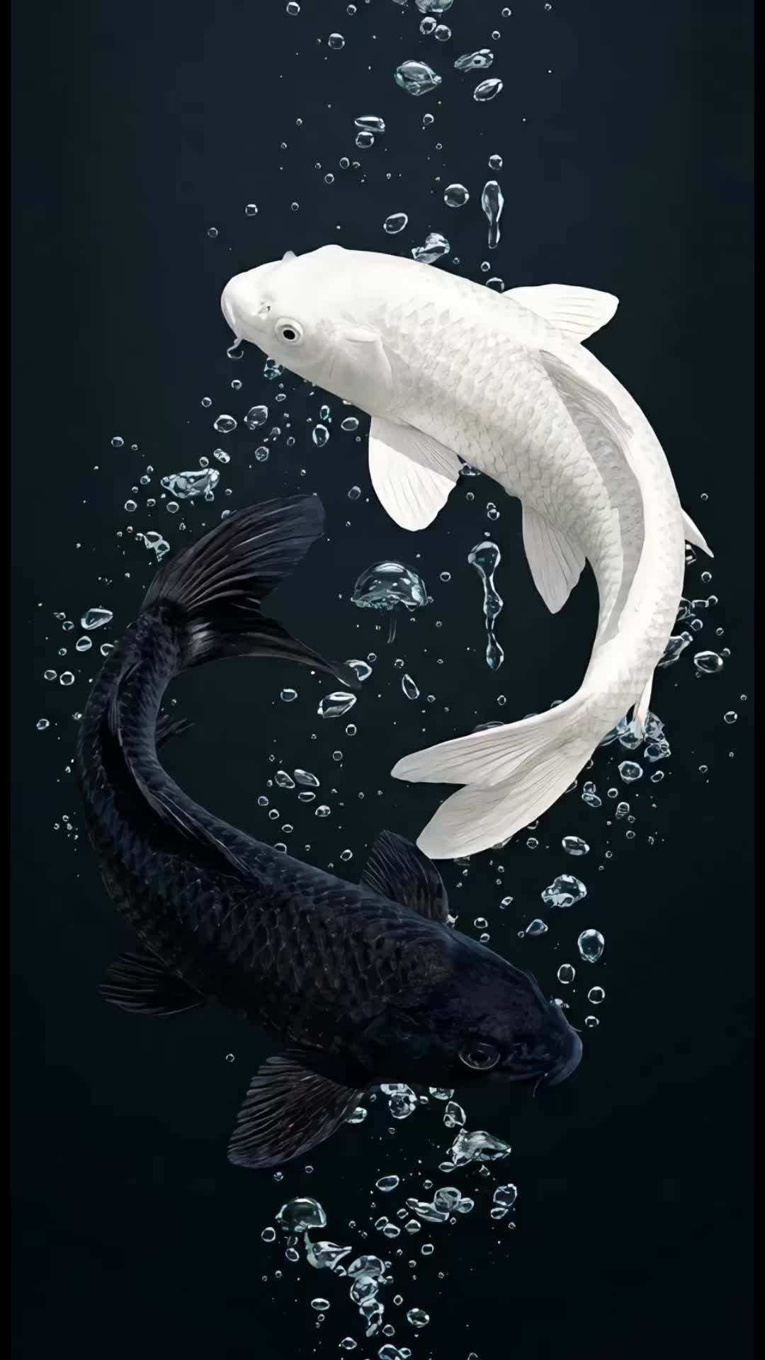 @floradigital
