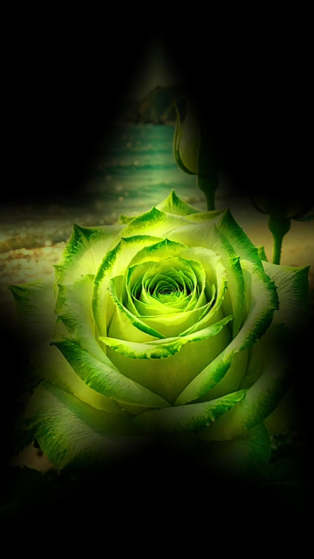 @💖Simonetta Boccacci💖