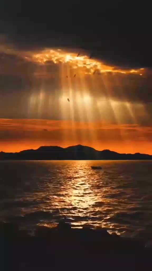 @𝐇𝐚𝐬𝐢𝐛&auml;𝐫 & 𝐆𝐡𝐨𝐬𝐭