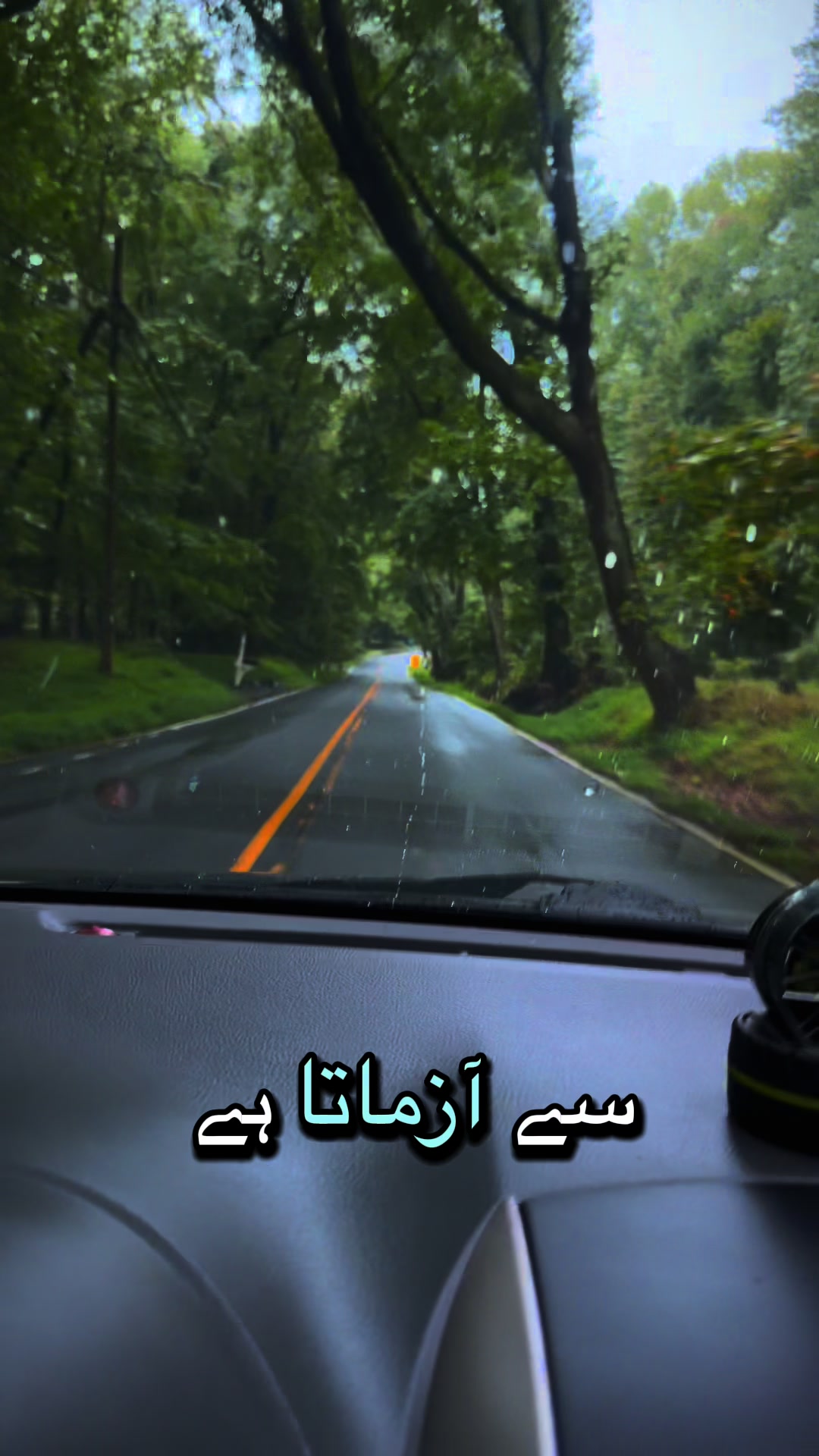 @Ali Hanan ๐บ๐ธ๐ฅฐ๐ต๐ฐ